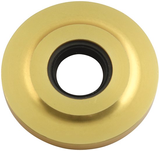 -Cam Seal Plate Gold 2.253 - 90086