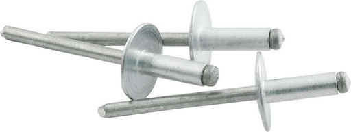 [ALL18151] Allstar Performance - Lg Hd Rivet 250Pk Silver - 18151