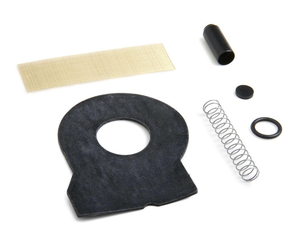 -HolleyCheck Valve Kit - 12-816